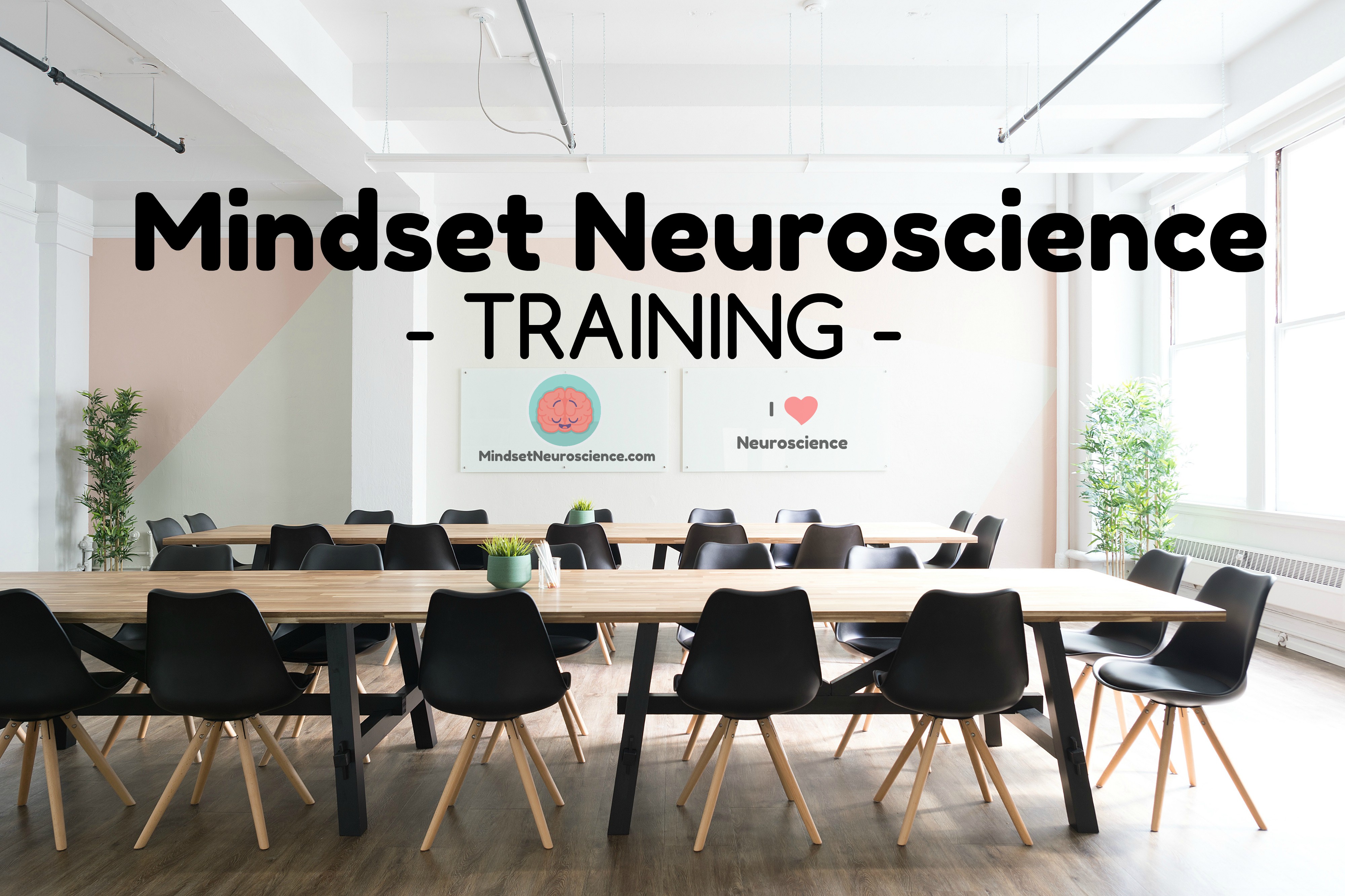 mindset leadership training