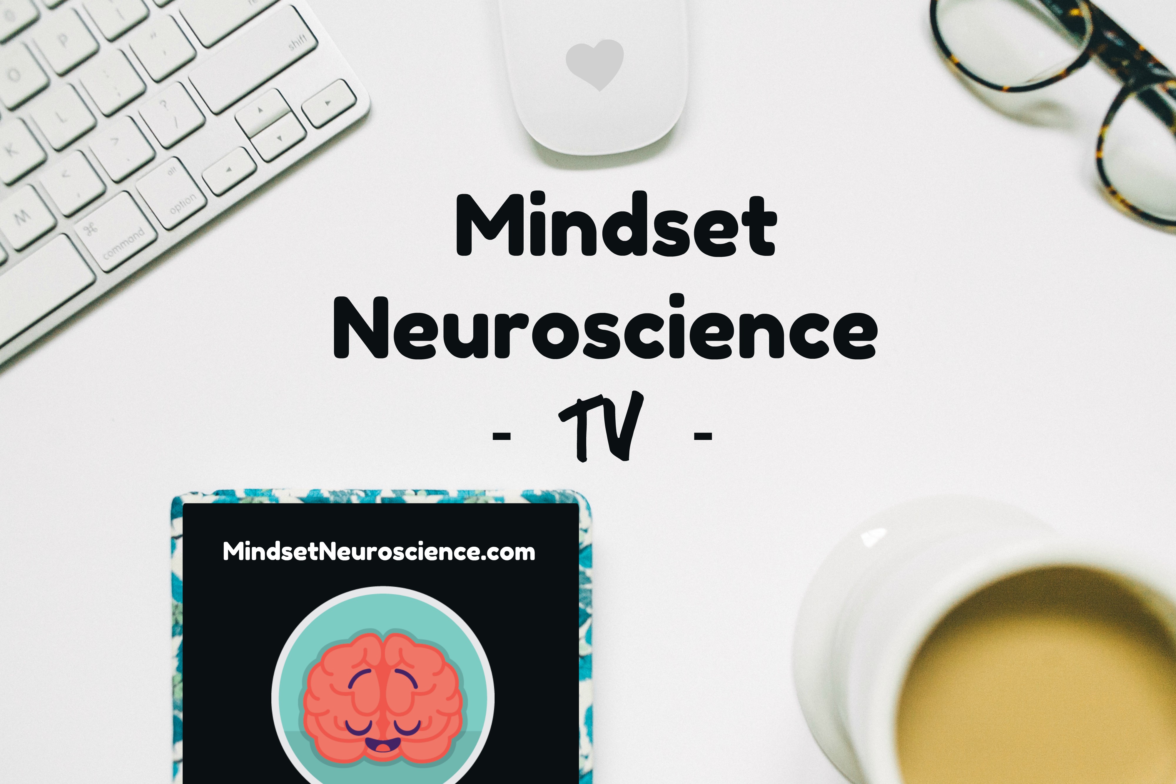 Mindset Neuroscience TV