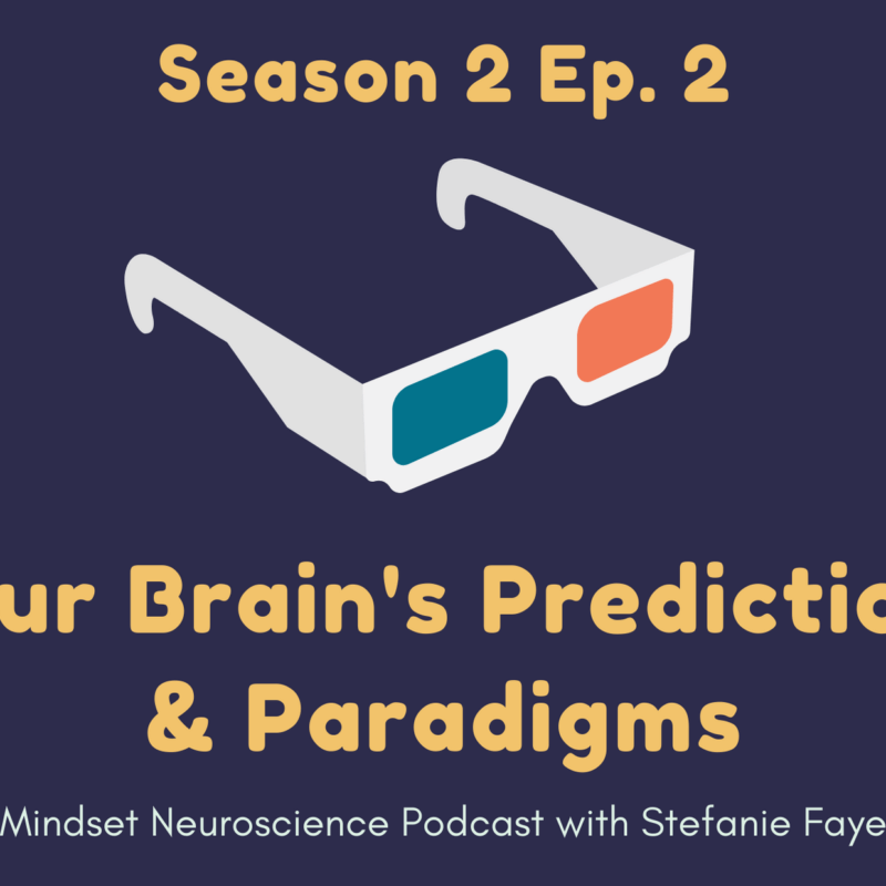 your brain's predictions and paradigms