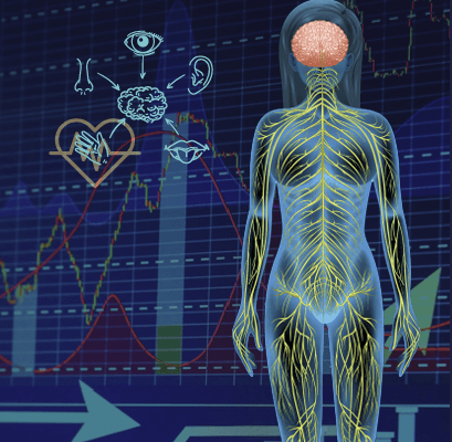 nervous system audit